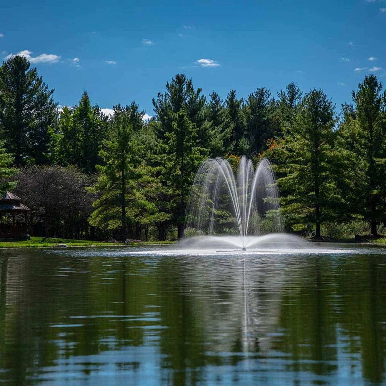 Airmax LakeSeries 2 HP Fountain, 230V 18 Airmax LakeSeries 2 HP Fountain, 230V - Image 16