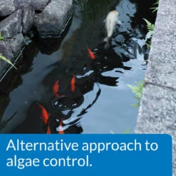 API PondCare Microbial Algae Clean 12 API PondCare Microbial Algae Clean -Accessories || Solar Shop alternative algae control 1000 13794.1666618175