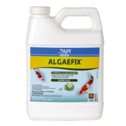 API AlgaeFix -Accessories || Solar Shop api algaefix 32ounce 1000 03465.1666893864