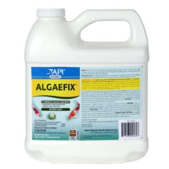 API AlgaeFix -Accessories || Solar Shop api algaefix 64ounce 1000 43381.1666893864