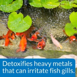 API Pond Chlorine & Heavy Metal Neutralizer -Accessories || Solar Shop api pond chlorine detoxifier 1000 54866.1665411450