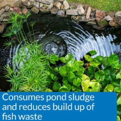 API Pond Simply Clear 12 API Pond Simply Clear -Accessories || Solar Shop api pond simply clear consumes sludge 1000 80508.1659374845