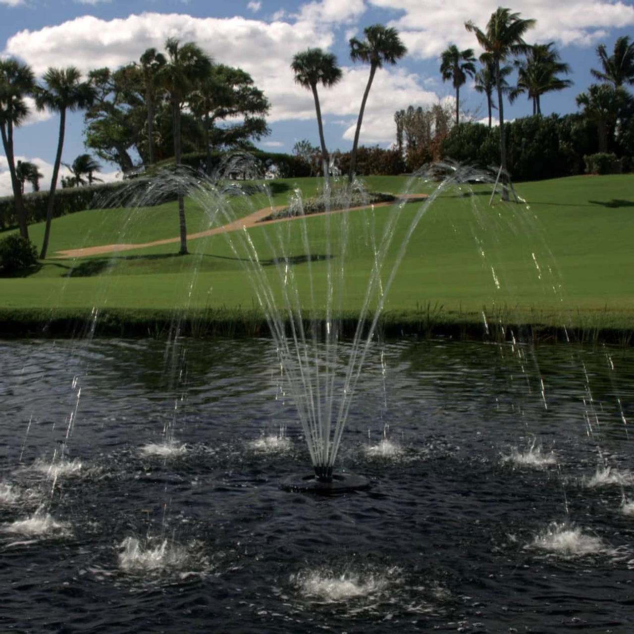 Accessories Cluster Arch Nozzle For Aqua Control Evolution Series 1/2 HP Fountain 4 Accessories Cluster Arch Nozzle For Aqua Control Evolution Series 1/2 HP Fountain - Image 2