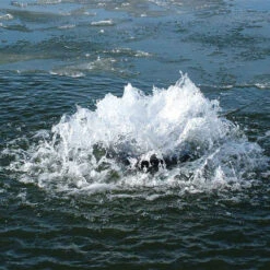 Aqua Control Evolution Series 1/2 HP Fountain -Accessories || Solar Shop aqua evolution torrent 1000 91611.1663691931