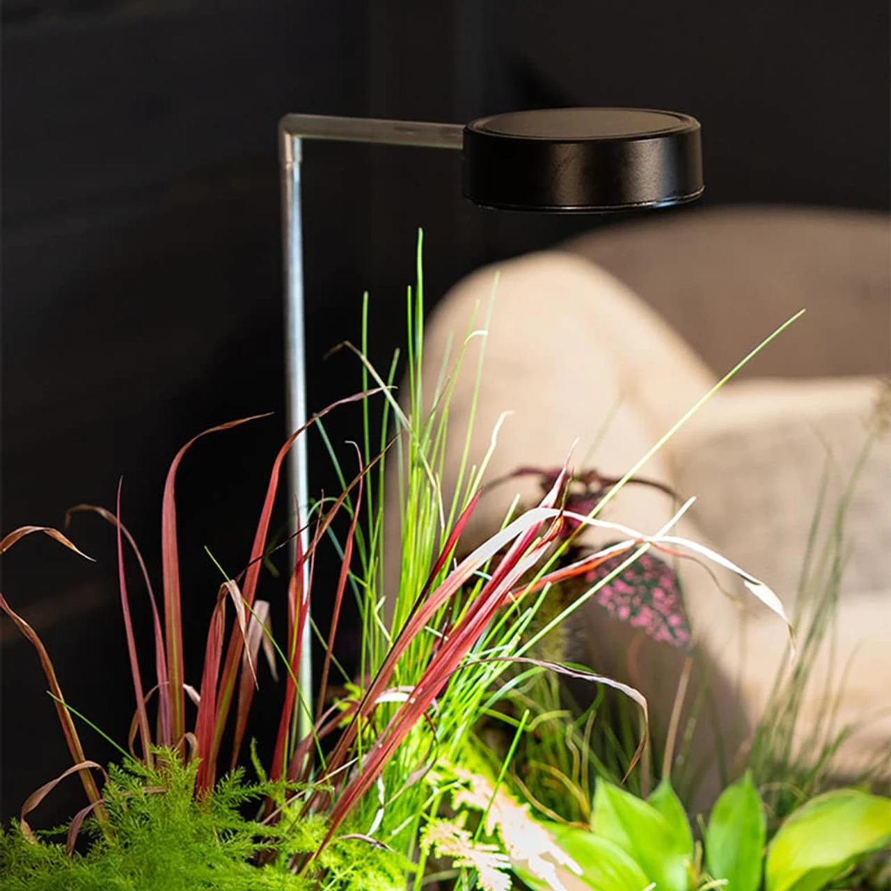 Aquascape AquaGarden Plant Light 4 Aquascape AquaGarden Plant Light - Image 2