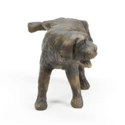 Aquascape Naughty Dog Spitter 8 Aquascape Naughty Dog Spitter -Accessories || Solar Shop aquascape naughty dog spitter side 1000 28088.1663869905