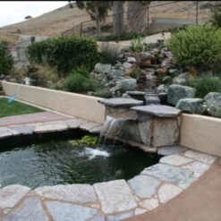 Pond Armor Pond Shield Epoxy Crack RX 13 Pond Armor Pond Shield Epoxy Crack RX -Accessories || Solar Shop backyard stream pond 1000 55276.1681413163