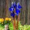 Blue Thumb Copper Blue Iris Fountain Kit -Accessories || Solar Shop blue thumb copper blue iris fountain 1000 09819.1666961974