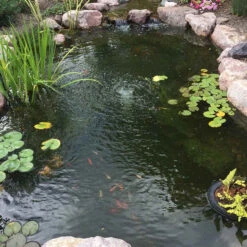 CrystalClear PondShock -Accessories || Solar Shop crystalclear pondshock after 38908.1679929103