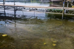 Kasco AquatiClear Water Circulator W/ Universal Dock Mount, 3/4 HP, 115V -Accessories || Solar Shop dock ripples 50228.1652381404