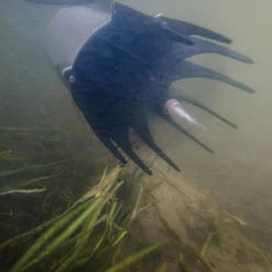 Kasco AquatiClear Water Circulator W/ Horizontal Float, 1 HP, 230V -Accessories || Solar Shop kasco aquaticlear circulator under floatb 1000 35993.1652385164