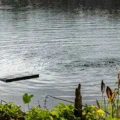 Kasco AquatiClear Water Circulator W/ Horizontal Float, 1/2 HP, 115V -Accessories || Solar Shop kasco aquaticlear horizontial float in water 1000 15808.1652296028