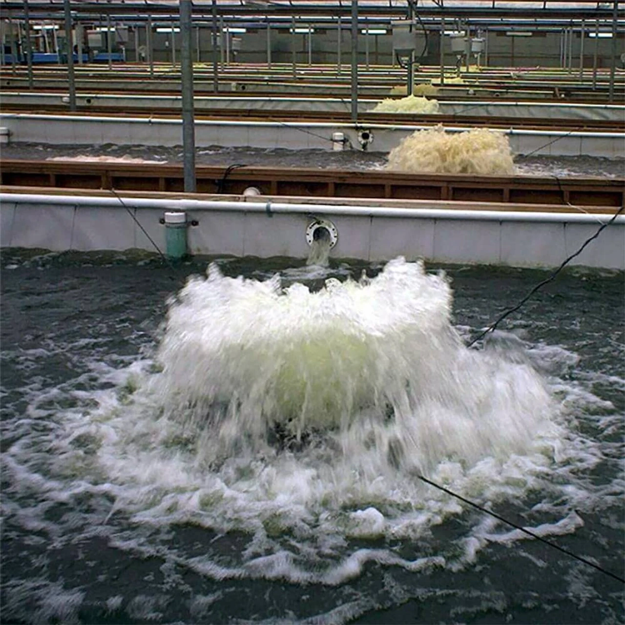 Kasco Replacement Motor For 1/2 HP To 5 HP Surface Aerators 4 Kasco Replacement Motor For 1/2 HP To 5 HP Surface Aerators - Image 2