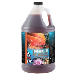Microbe-Lift PL Beneficial Bacteria -Accessories || Solar Shop microbe lift pl 1gallon 1000 02165.1659540929