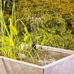 Oase Filtral UVC Filter W/ Pump 20 Oase Filtral UVC Filter W/ Pump -Accessories || Solar Shop oase filtral UVC filter magma daytime 1000 68561.1666987245