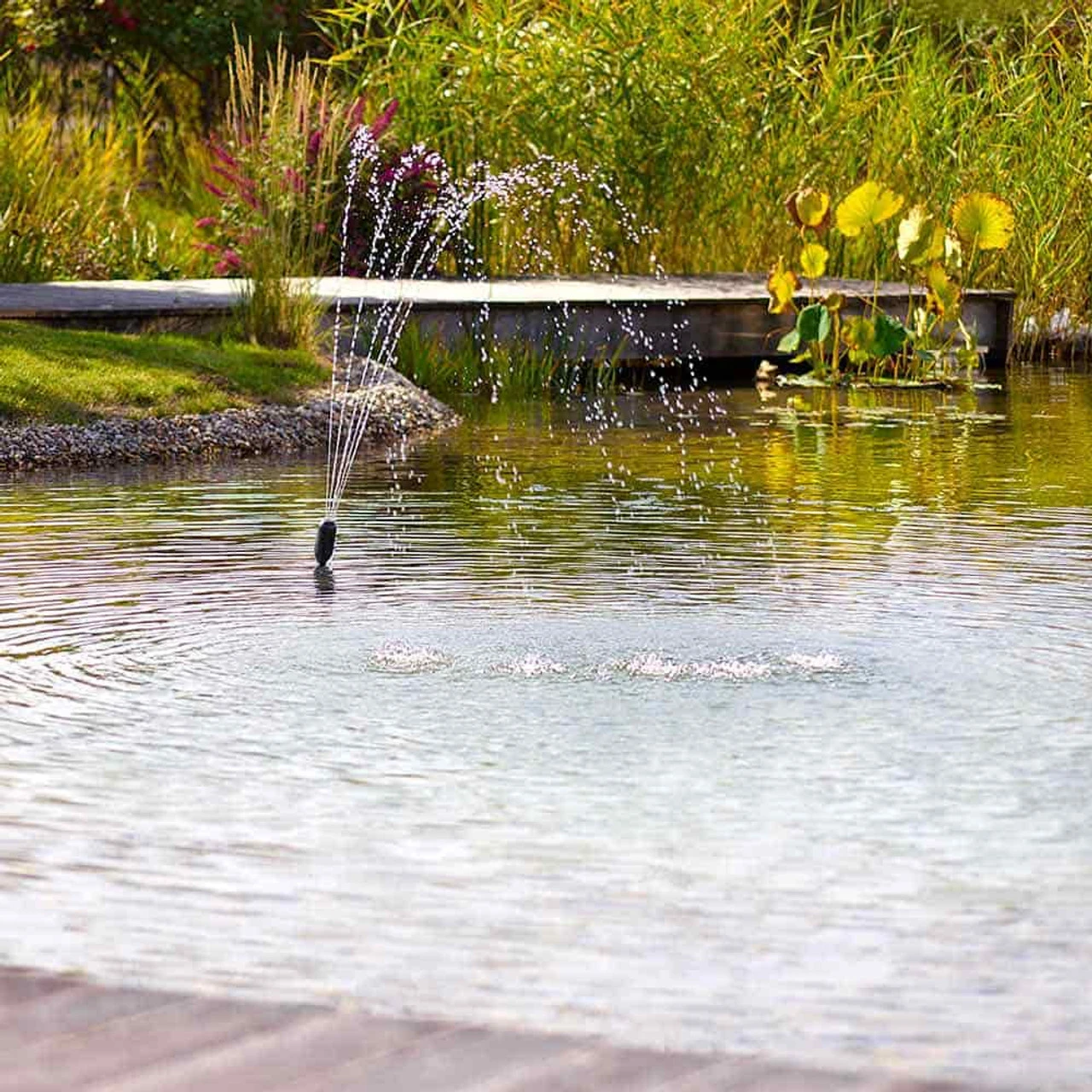 Oase Filtral UVC Filter W/ Pump 14 Oase Filtral UVC Filter W/ Pump - Image 12