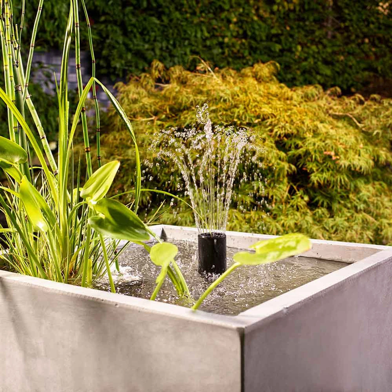 Oase Filtral UVC Filter W/ Pump 11 Oase Filtral UVC Filter W/ Pump - Image 9