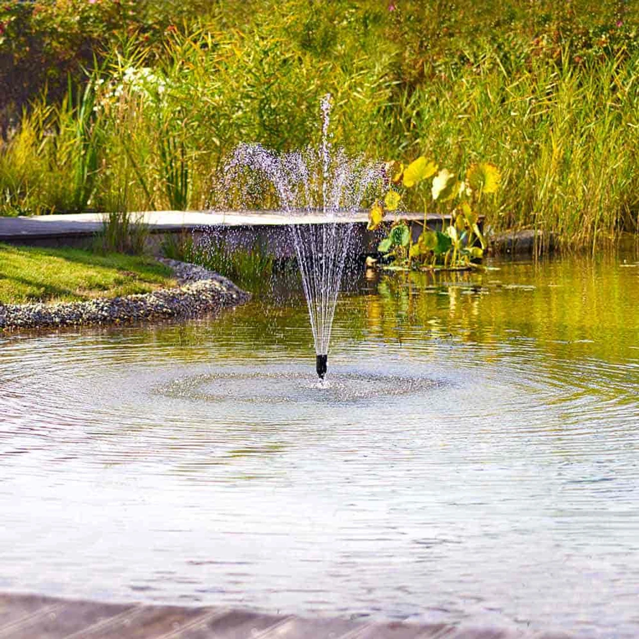 Oase Filtral UVC Filter W/ Pump 9 Oase Filtral UVC Filter W/ Pump - Image 7